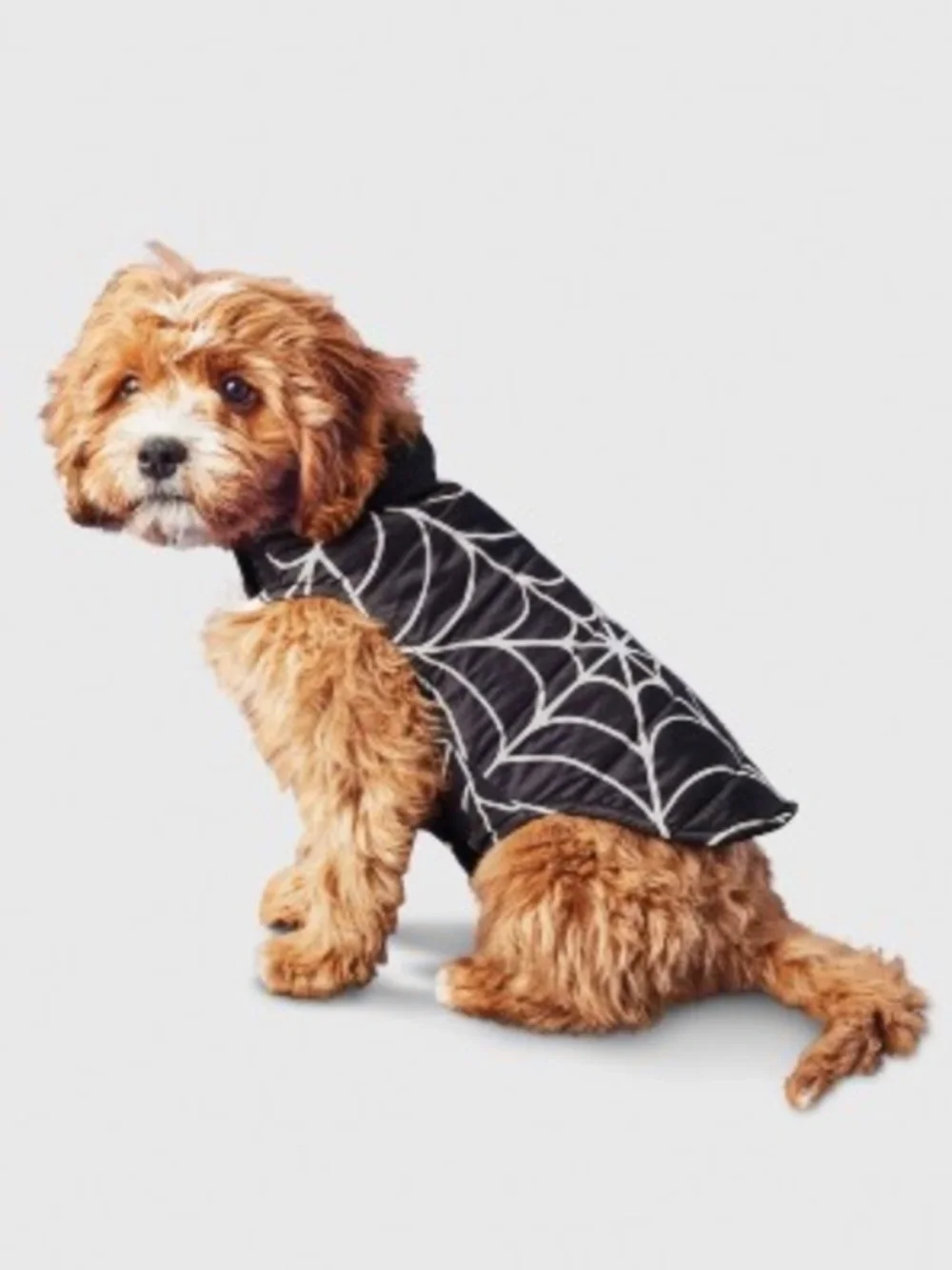 Reflective Spider Web Dog Vest - Boots & Barkley -- Size XS
